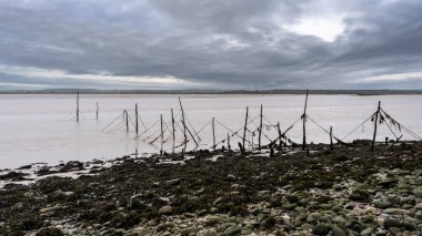 Carsluith, Newton Stewart, İskoçya 'daki Cree nehrinin akıntısı altında somon kazığı ağları.