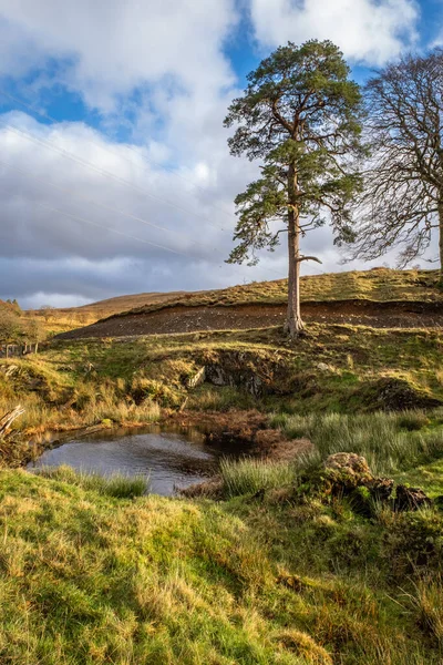 Zöld Kút Skócia Carsphairn Dumfries Galloway Skócia — Stock Fotó