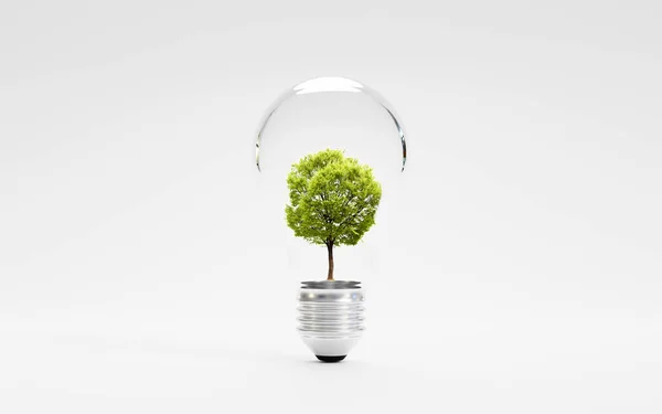 3Dレンダリングによる省エネルギーと環境の概念のための白い背景に電球内の緑の木の分離 — ストック写真