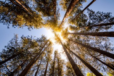 Lac Des Montagnes 'in eğlence merkezinde, Mazamet şehrinin yakınında.