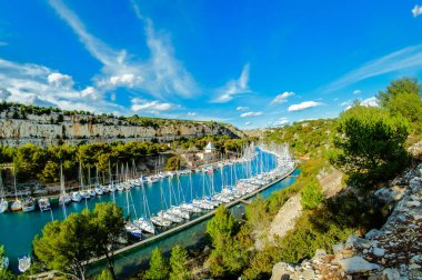 Fransa 'nın Cassis şehrindeki Port Miou Ağacı
