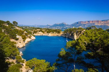 Fransa 'nın Cassis şehrindeki Port Miou Ağacı
