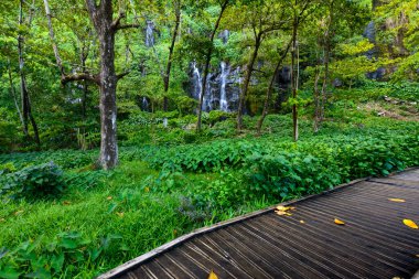 Underwood turistik sitesinde Anse des Cascade, Sainte Rose, Reunion Adası