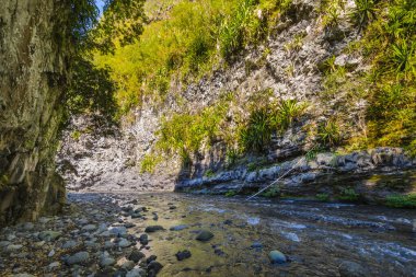 Güneşli bir gün, sütyen düz de La Reunion Adası'nda sırasında bir kanyon hiking