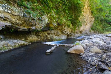 Sütyen de la Plaine Reunion Adası'nda, güneşli bir gün boyunca nehir