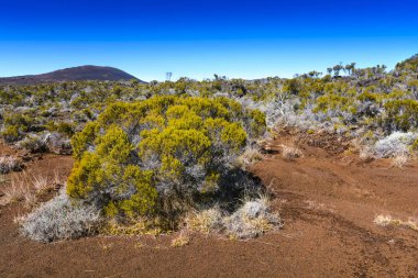 Piton de La Fournaise 'de yürüyüş yolu.