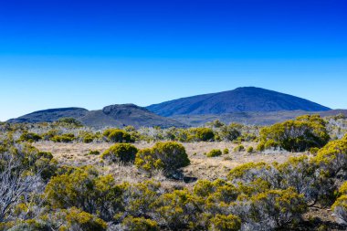 Piton de la Fournaise Reunion Adası 'nda