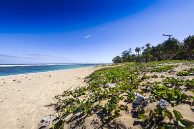 Beach Saint Pierre, Ile de La Reunion