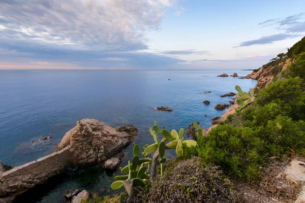 Piękny Zatoka Sant Francesc Plaża Blanes Hiszpanii — Zdjęcie stockowe