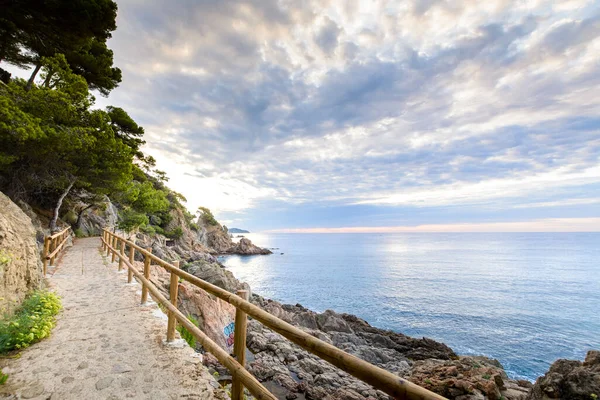 Hermoso Arroyo Playa Sant Francesc Blanes España —  Fotos de Stock