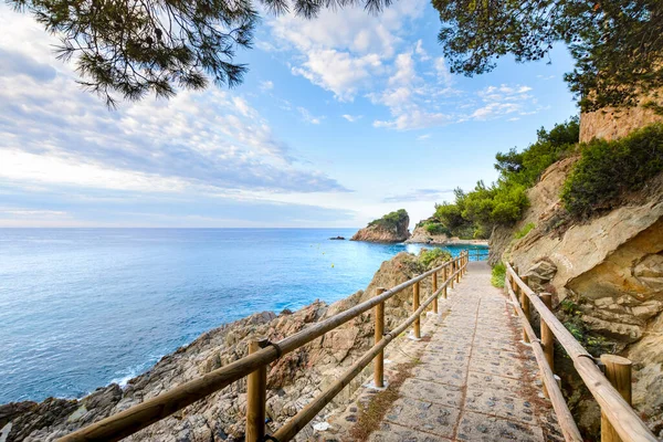 Smukke Sant Francesc Bæk Strand Blanes Spanien - Stock-foto