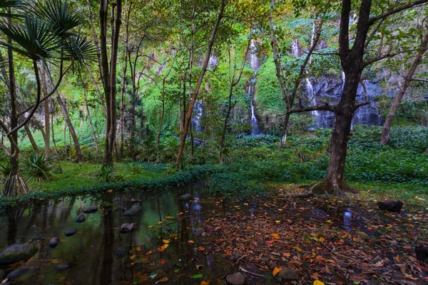 Underwood Turystyczne Witryny Anse Des Cascades Pobliżu Sainte Rose City — Zdjęcie stockowe