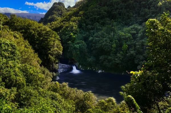 Wasserfall Von Bassin Mer Auf Der Insel Réunion Einem Sonnigen — Stockfoto