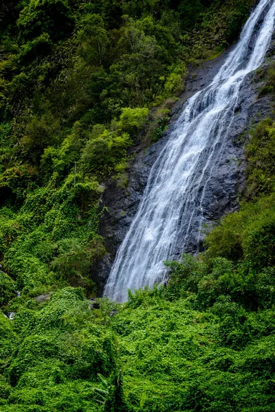 Waterfal Namens Voile Mariee Salazie Auf Der Insel Réunion — Stockfoto