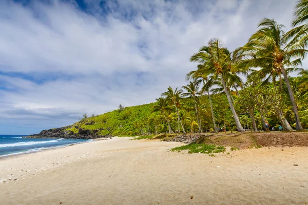 Sunny Day Coconut Sand Grande Anse Beach Reunion Island — Stock Photo, Image