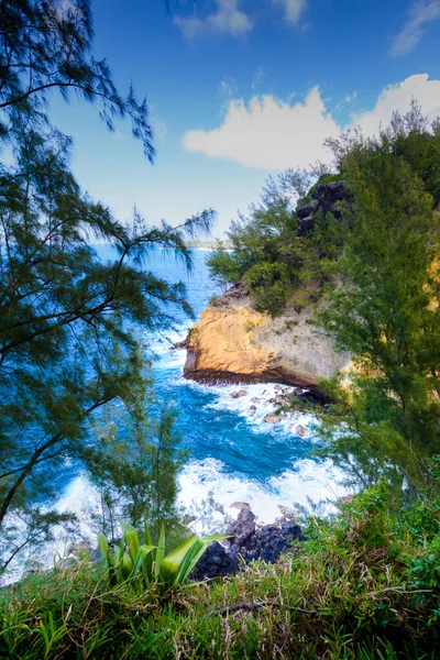 Cap Jaune Saint Joseph Reunion Island — Stock Photo, Image