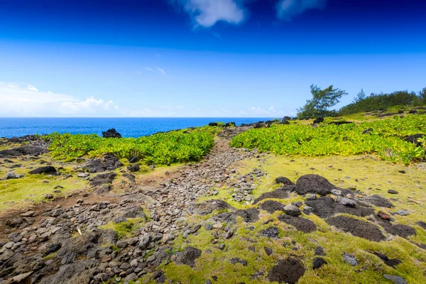 Typical Landscape Volcanic Rock Reunion Island — Stock Photo, Image