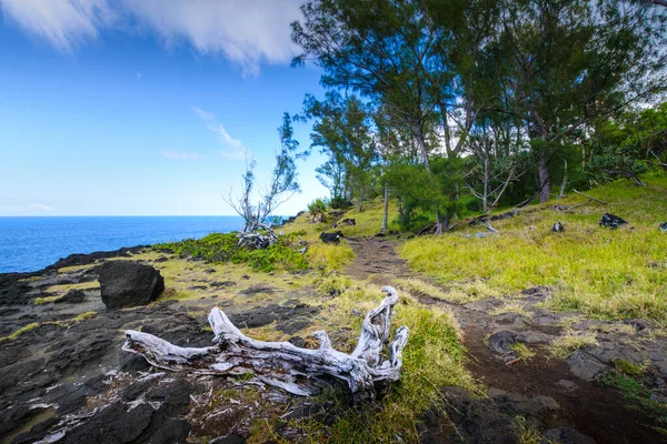 留尼汪岛典型的景观与火山岩 — 图库照片