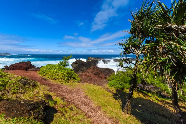 Coast Close Four Chaux Place Reunion Island Sunny Day — Stock Photo, Image