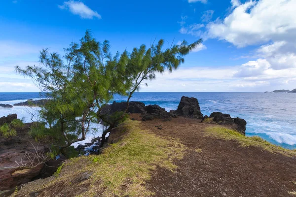 Kyst Tæt Four Chaux Sted Reunion Island Løbet Solrig Dag - Stock-foto