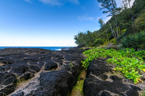 Nature Volcanic Rocks South Coast Reunion Island Sunny Day — Stock Photo, Image