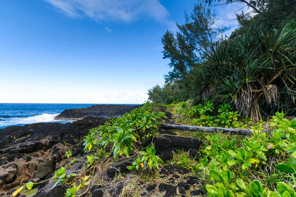 Nature Volcanic Rocks South Coast Reunion Island Sunny Day — Stock Photo, Image