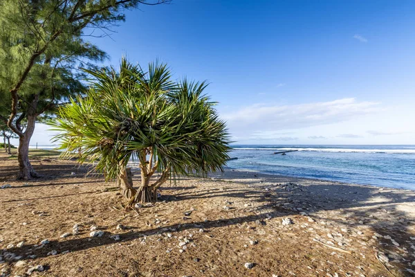 Beach Saint Pierre Reunion Island — Stock Photo, Image