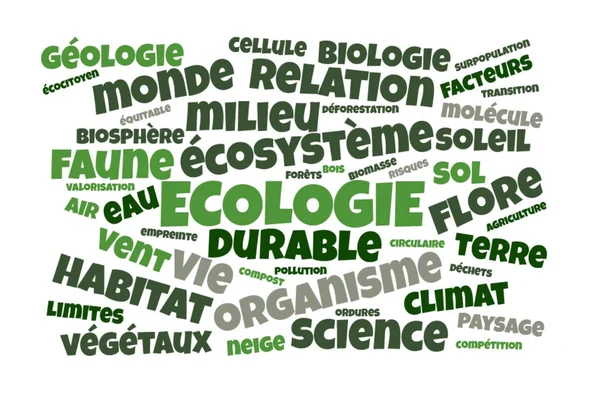 Ökologie Word Cloud Vector Illustration Französischer Sprache — Stockfoto