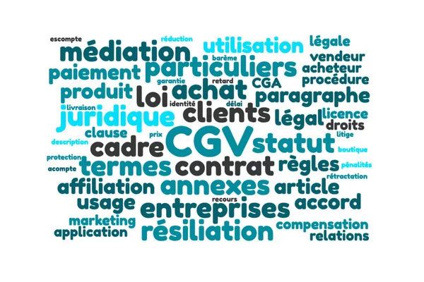 Általános Feltételek Word Cloud Vector Illustration French Language — Stock Fotó