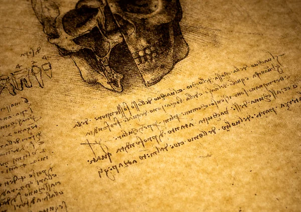 斯里兰卡坎迪 2021年2月17日 14世纪解剖学 莱昂纳多 达芬奇在坎迪医学展上的演讲 — 图库照片