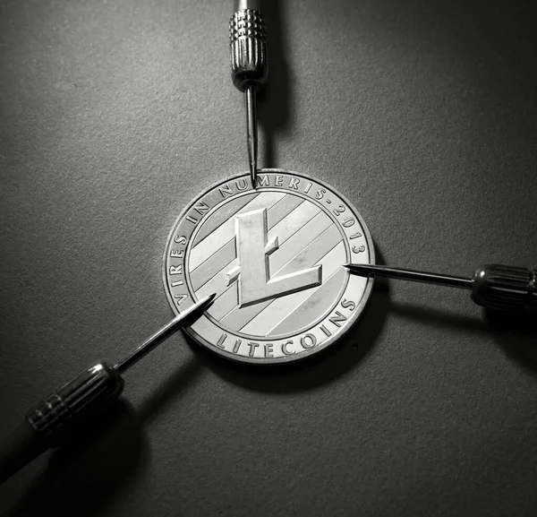 Macro Prise Une Monnaie Crypto Litecoin — Photo