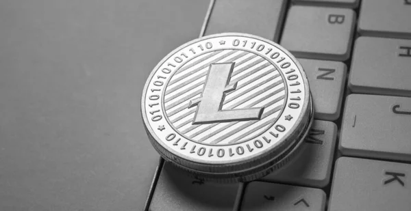 Litecoin Crypto Valuta Makrofelvétele — Stock Fotó
