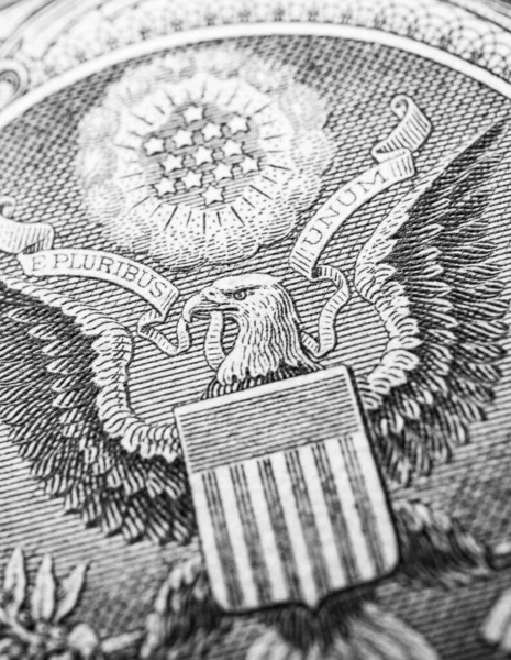 Primer Plano Moneda Del Dólar Americano — Foto de Stock