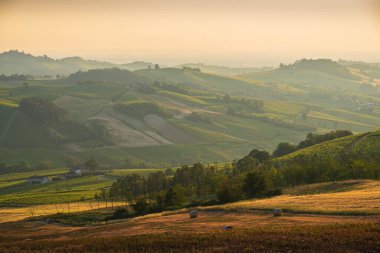 Oltrepo Pavese 'deki tepeler günbatımında bağlarla ve tarlalarla kaplıydı, Lombardy, İtalya