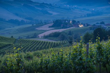 Hills in Oltrepo' Pavese covered in vineyards and fields at dusk, Lombardy, Italy clipart