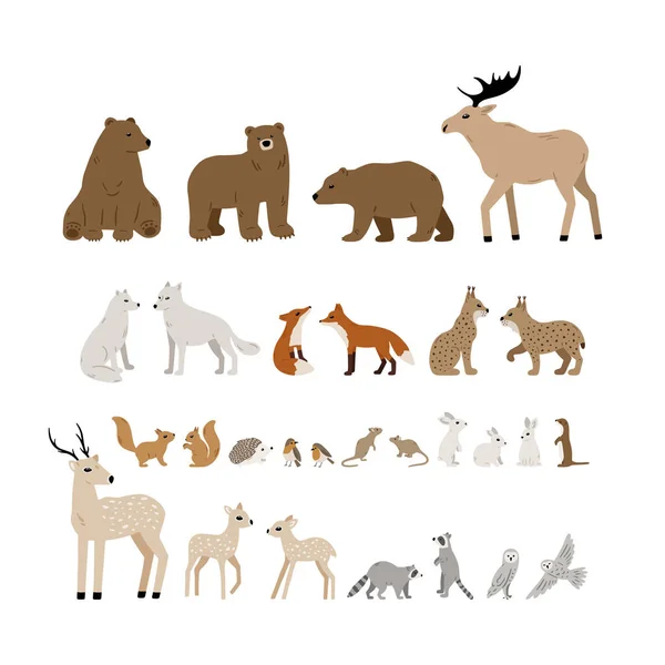Ensemble Grands Vecteurs Animaux Forestiers Ours Cerfs Loups Renards Lynx — Image vectorielle