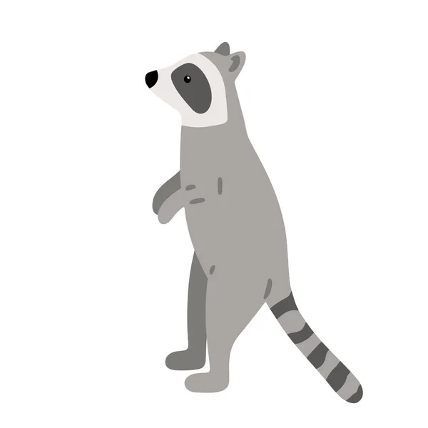 用迷人的浣熊手绘插图 可爱的森林性格 在白色背景上孤立的扁平风格的矢量可爱的浣熊 卡通林地生物 色彩艳丽的儿童插图 — 图库矢量图片
