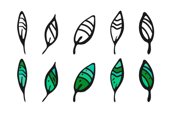 Doodle Leaves Set. Tracciato a mano pennello nero pennellata foglie contorno. Kit decorativo forme nei toni del verde colore. Sfondo bianco. Vettore — Vettoriale Stock