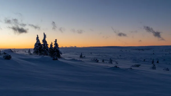 Zonsondergang Bergen Met Sneeuw Bedekte Bomen Tegen Geel Blauwe Lucht — Stockfoto