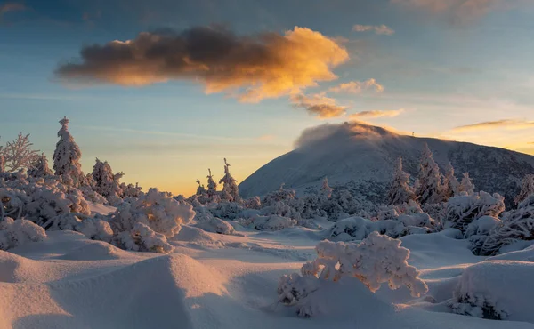 Zonsopgang Het Reuzengebergte Met Sneeuw Bedekte Struiken Bomen Het Zonlicht — Stockfoto