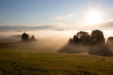 Sunrise in the Biebrza National Park. Foggy morning. The sun is shining through the fog. Trees in the fog. September in Podlasie