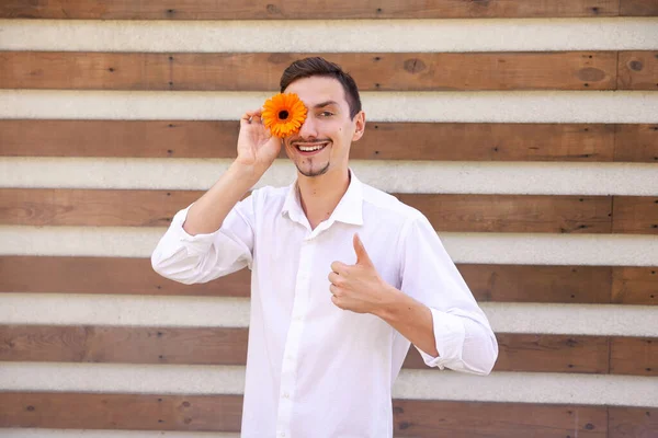 手势和人们的观念 一个身穿白衬衫的年轻白人小伙子竖起大拇指 拿着一朵橙花 而不是盯着带有复制空间的褐色条纹背景 — 图库照片
