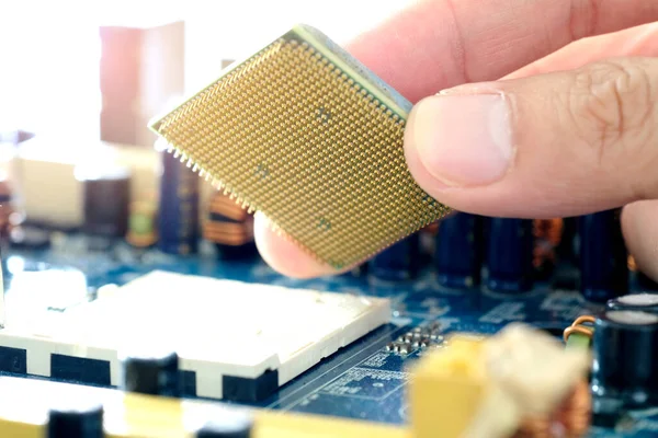 Hand of computer engineering brings computer cpu processor memory change components into socket processor for maintenance.Technology and development concept