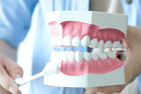 Tangan Seorang Dokter Gigi Dia Sedang Mendemonstrasikan Cara Menyikat Gigi — Stok Foto