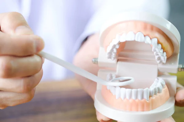Tangan Seorang Dokter Gigi Dia Sedang Mendemonstrasikan Cara Menyikat Gigi — Stok Foto