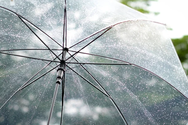 Vrouwen Lopen Regen Hand Van Vrouwen Met Een Paraplu Voelt — Stockfoto