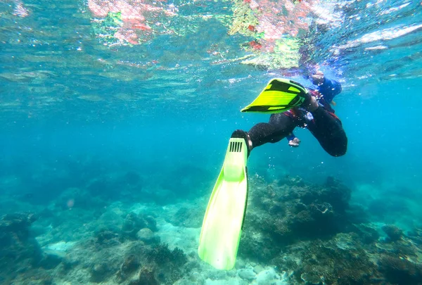 Imágenes Hombres Haciendo Snorkel Bajo Agua — Foto de Stock