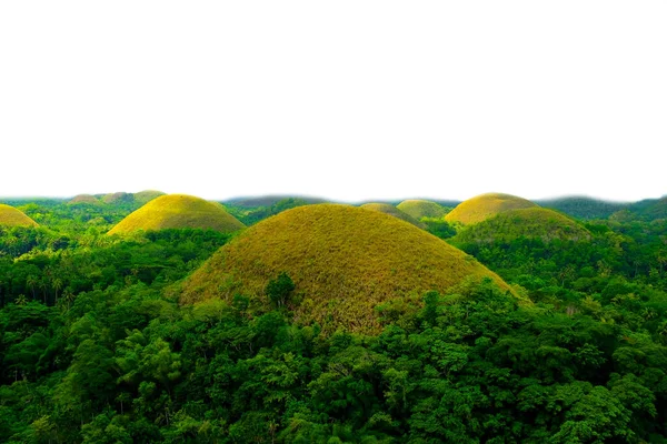 Nature Forest Rich Nature Chocolate Hill Bohol Hill — Foto de Stock