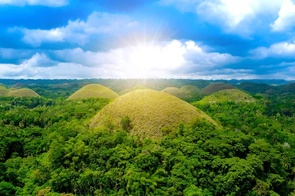 Naturaleza Del Bosque Rica Naturaleza Chocolate Hill Bohol Hill — Foto de Stock