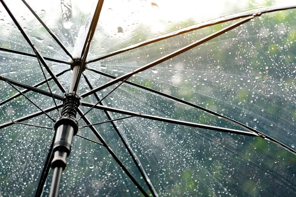 Vrouwen Lopen Regen Hand Van Vrouwen Met Een Paraplu Voelt — Stockfoto
